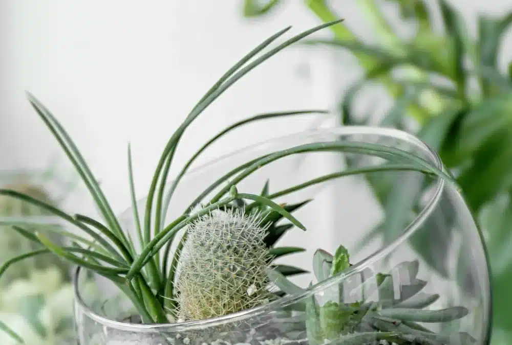Creative Ways to Use Succulents for Bridal Shower Centerpieces