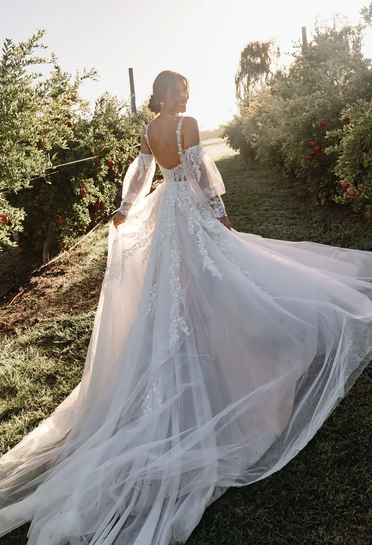 Sofia Ml24100 23 Sofia Ml24100 23